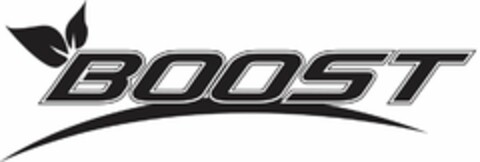 BOOST Logo (USPTO, 17.06.2013)