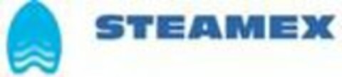 STEAMEX Logo (USPTO, 22.12.2015)