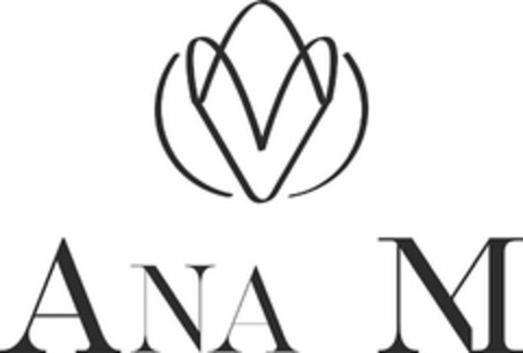 VV ANA M Logo (USPTO, 05/24/2019)