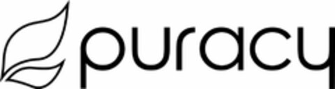 PURACY Logo (USPTO, 07/22/2019)