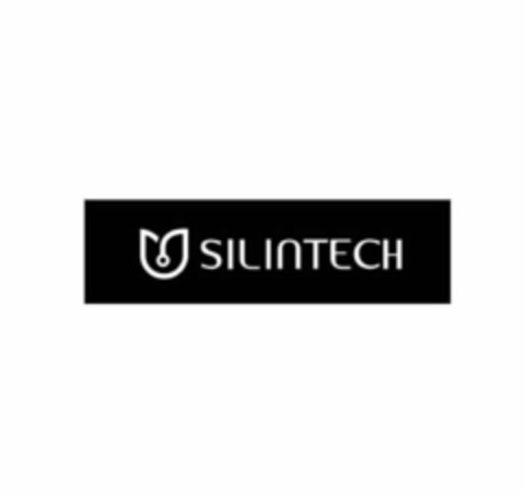 SILINTECH Logo (USPTO, 09/20/2019)