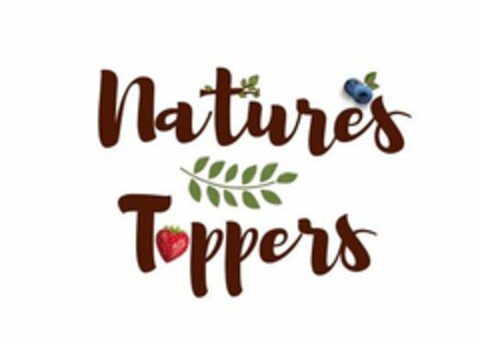NATURE'S TOPPERS Logo (USPTO, 25.03.2020)