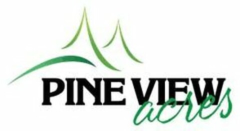 PINE VIEW ACRES Logo (USPTO, 08.07.2020)