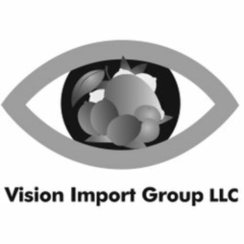 VISION IMPORT GROUP LLC Logo (USPTO, 12.05.2015)