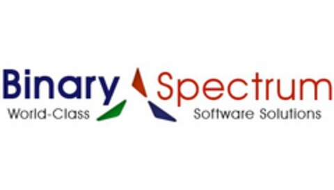 BINARY SPECTRUM WORLD-CLASS SOFTWARE SOLUTIONS Logo (USPTO, 12.08.2010)