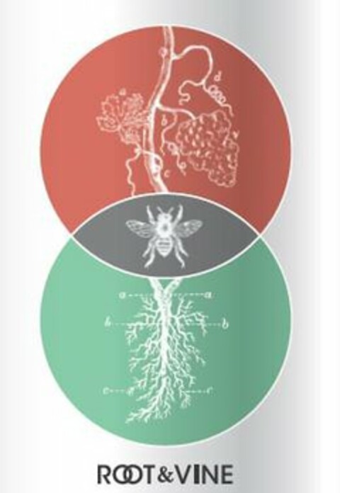 A B C ROOT & VINE Logo (USPTO, 10.03.2016)