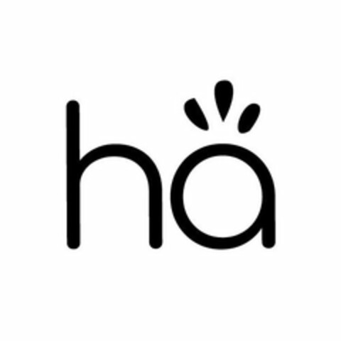 H A Logo (USPTO, 03.05.2019)