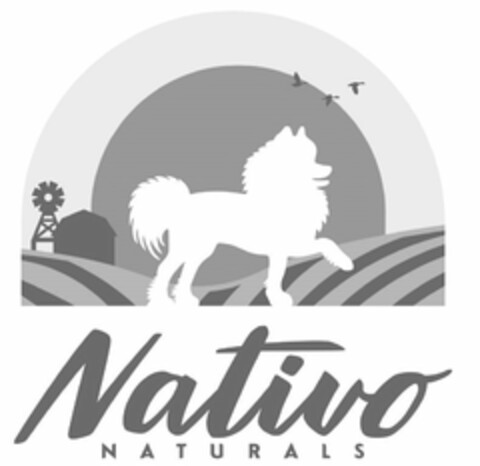 NATIVO NATURALS Logo (USPTO, 14.08.2020)