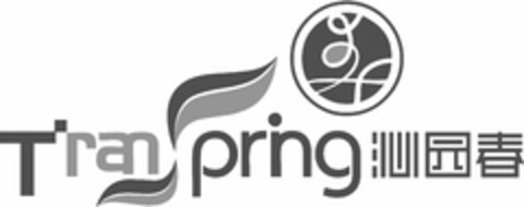 TRANSPRING Logo (USPTO, 12/03/2014)