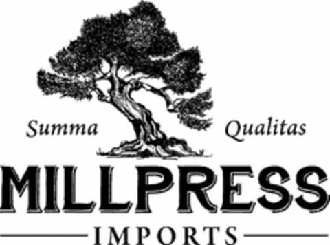 MILLPRESS IMPORTS SUMMA QUALITAS Logo (USPTO, 07.02.2017)