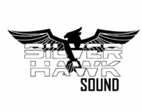 SILVER HAWK SOUND Logo (USPTO, 08/16/2010)