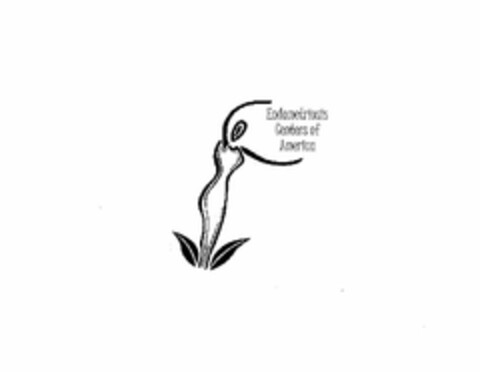 ENDOMETRIOSIS CENTERS OF AMERICA Logo (USPTO, 23.12.2014)