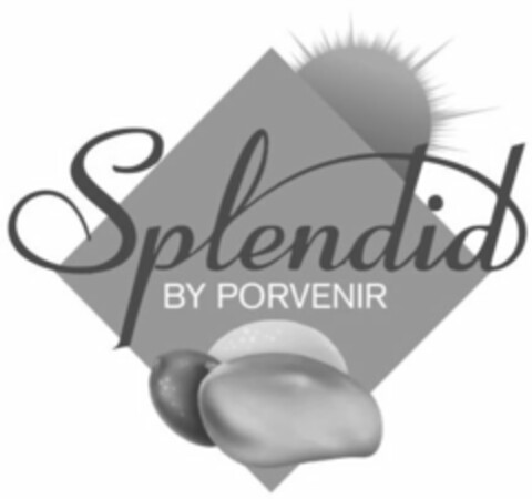 SPLENDID BY PORVENIR Logo (USPTO, 07.04.2016)