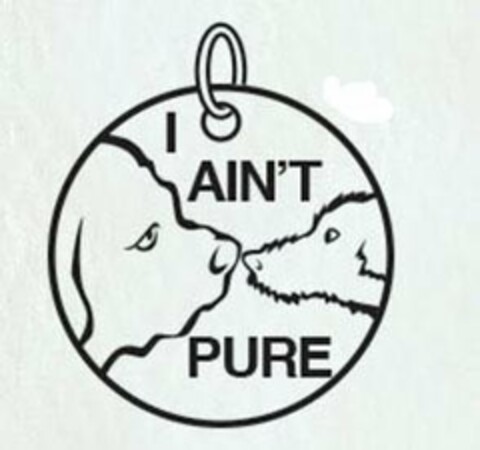 I AIN'T PURE Logo (USPTO, 25.01.2018)