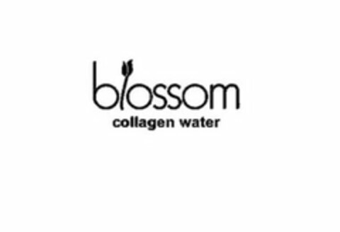 BLOSSOM Logo (USPTO, 02/19/2009)