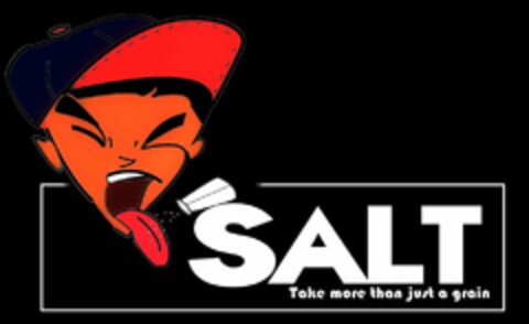 SALT TAKE MORE THAN JUST A GRAIN Logo (USPTO, 11/21/2011)