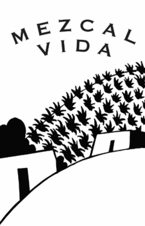 MEZCAL VIDA Logo (USPTO, 18.07.2016)