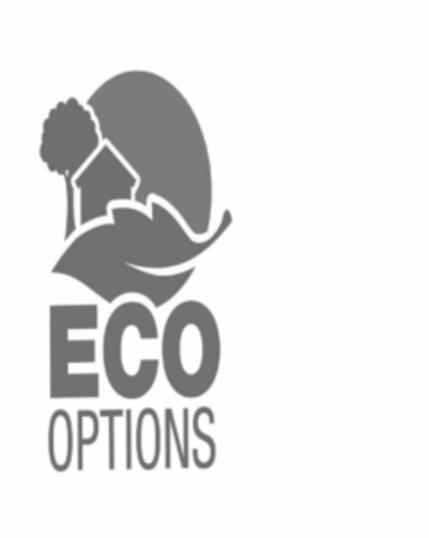 ECO OPTIONS Logo (USPTO, 07/17/2018)