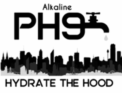 ALKALINE PH9 HYDRATE THE HOOD Logo (USPTO, 25.06.2019)