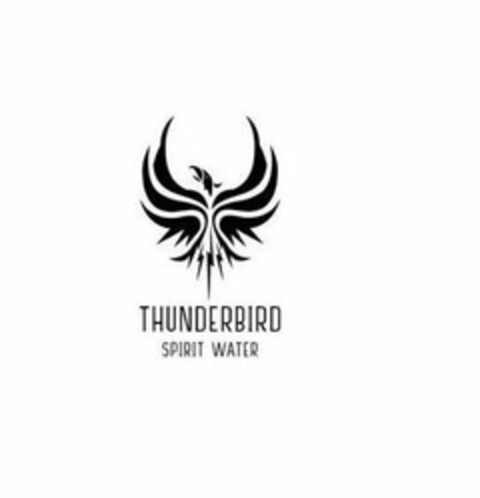 THUNDERBIRD SPIRIT WATER Logo (USPTO, 07.02.2020)