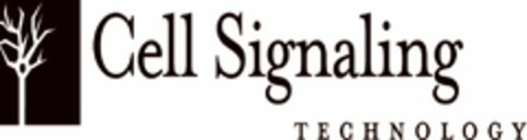 CELL SIGNALING TECHNOLOGY Logo (USPTO, 08.01.2010)