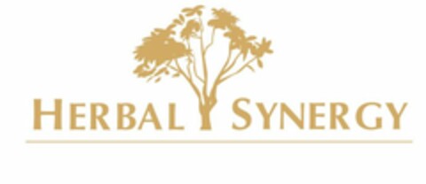 HERBAL SYNERGY Logo (USPTO, 09.11.2010)