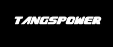 TANGSPOWER Logo (USPTO, 02.10.2013)