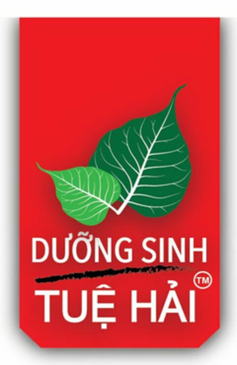 DUONG SINH TUE HAI Logo (USPTO, 01/29/2015)