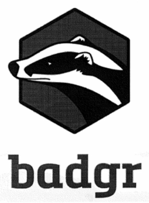 BADGR Logo (USPTO, 23.03.2016)