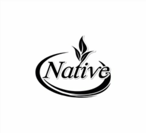 NATIVE Logo (USPTO, 16.05.2016)