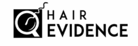 HAIR EVIDENCE Logo (USPTO, 17.07.2017)