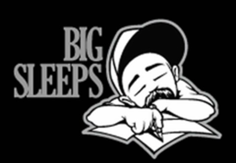 BIG SLEEPS Logo (USPTO, 01.07.2019)