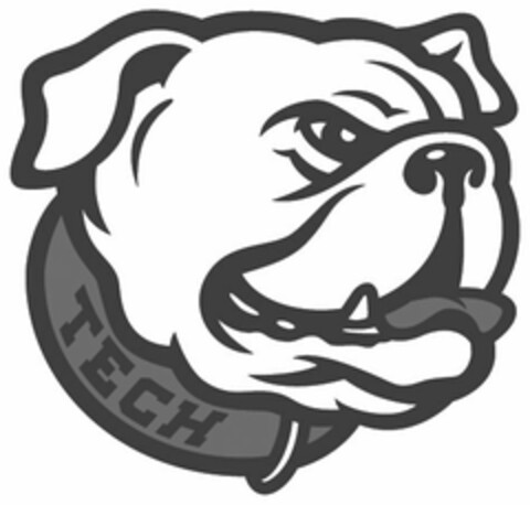 TECH Logo (USPTO, 18.05.2010)