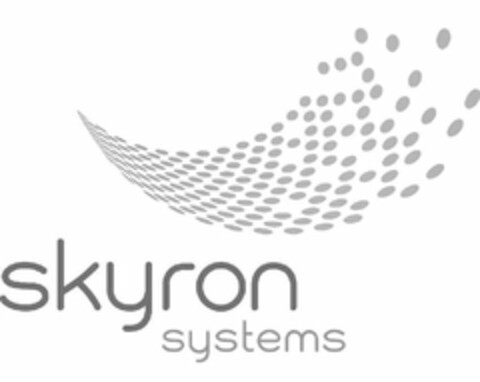 SKYRON SYSTEMS Logo (USPTO, 06/14/2010)