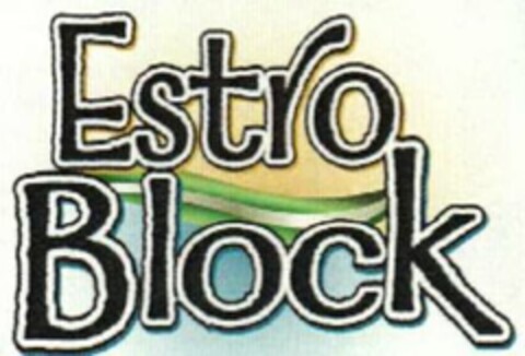 ESTRO BLOCK Logo (USPTO, 21.02.2011)