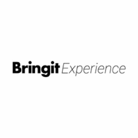 BRINGIT EXPERIENCE Logo (USPTO, 27.03.2017)