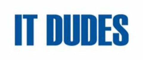 IT DUDES Logo (USPTO, 06.11.2009)