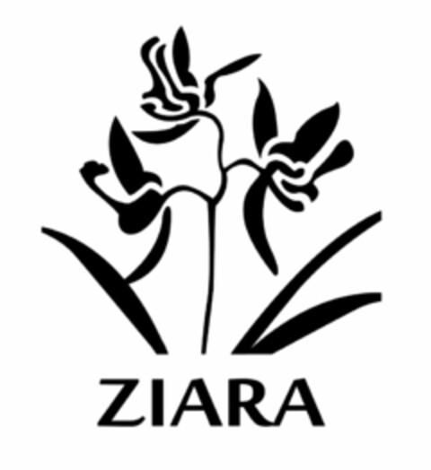 ZIARA Logo (USPTO, 24.03.2014)