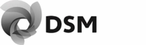 DSM Logo (USPTO, 06.02.2018)