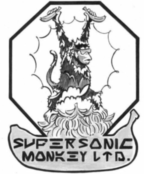 SUPERSONIC MONKEY LTD. Logo (USPTO, 27.01.2019)