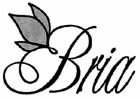 BRIA Logo (USPTO, 22.12.2011)