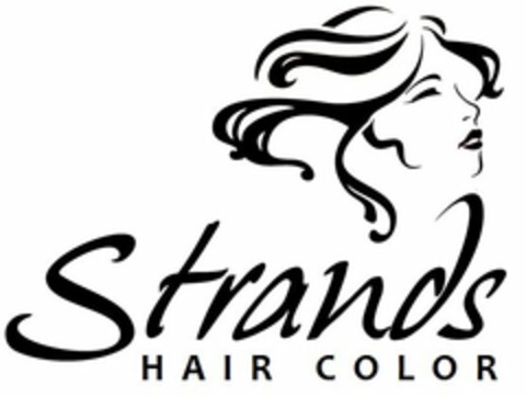 STRANDS HAIR COLOR Logo (USPTO, 05.04.2013)