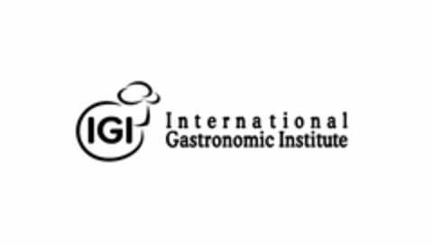 IGI INTERNATIONAL GASTRONOMIC INSTITUTE Logo (USPTO, 07.11.2013)