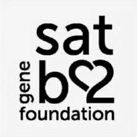 SATB2 GENE FOUNDATION Logo (USPTO, 04.03.2018)