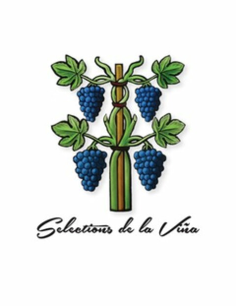 SELECTIONS DE LA VINA Logo (USPTO, 19.06.2013)