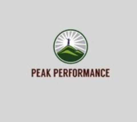 PEAK PERFORMANCE Logo (USPTO, 04/18/2017)