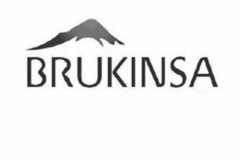 BRUKINSA Logo (USPTO, 09/24/2018)