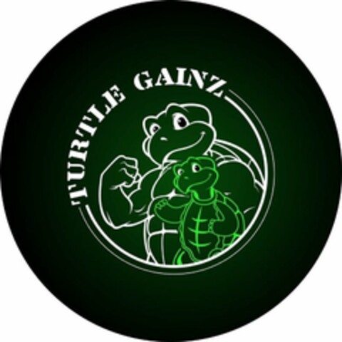 TURTLE GAINZ Logo (USPTO, 17.06.2020)