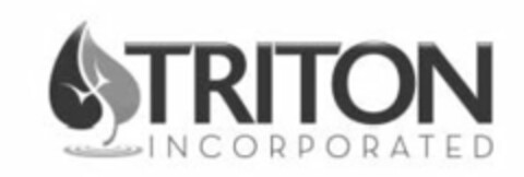 TRITON INCORPORATED Logo (USPTO, 25.10.2013)