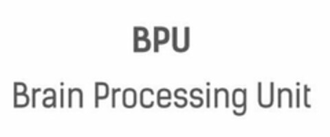 BPU BRAIN PROCESSING UNIT Logo (USPTO, 27.12.2016)